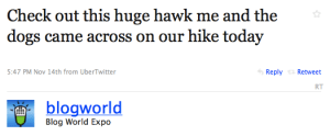 blogworld tweet