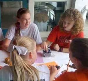 Desert Island Supply Company