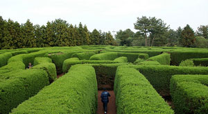 maze