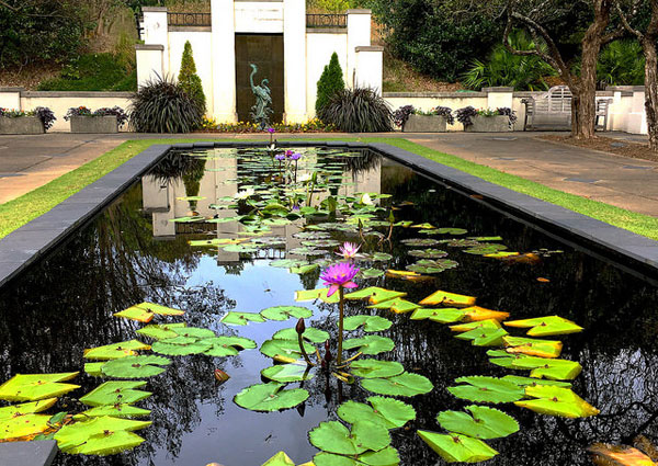 Birmingham Botanical Gardens